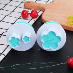 Blossom Plunger Cutter Set of 2